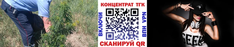 гидра вход Вышний Волочёк ТГК концентрат