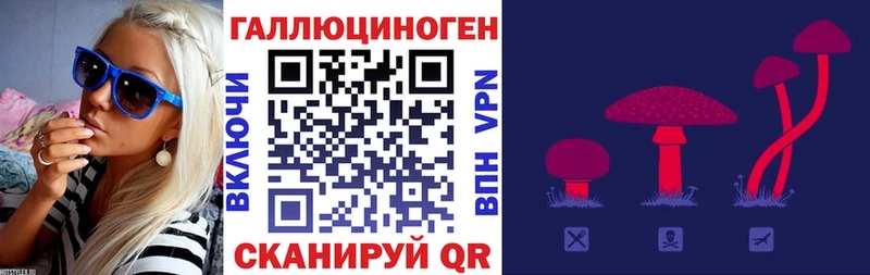 Псилоцибиновые грибы Psilocybe Вышний Волочёк