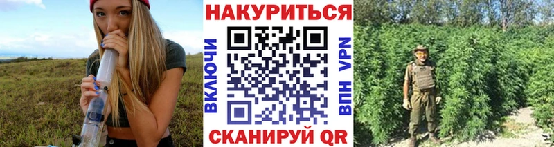 Бошки Шишки OG Kush  Вышний Волочёк 